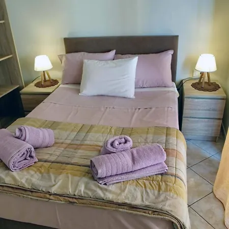 Sophia's Summer Daire