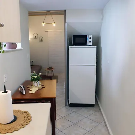 Sophia's Summer Tolo