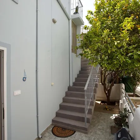 Sophia's Summer Daire *