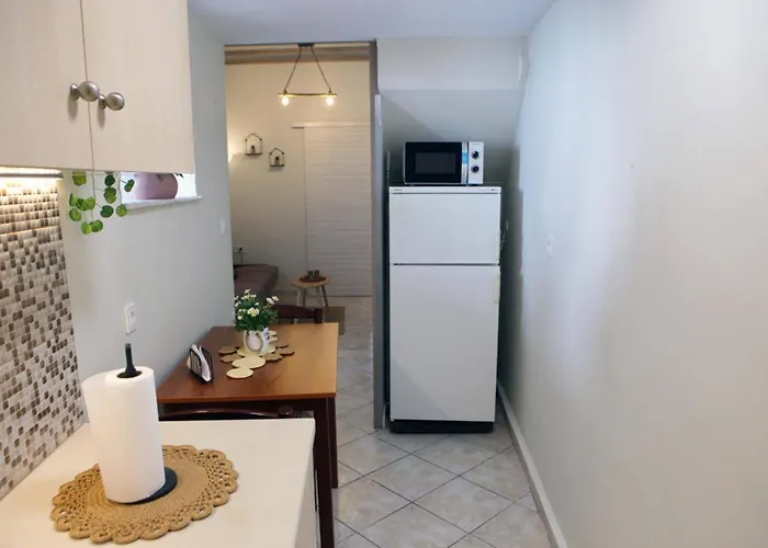 Sophia's Summer 托隆